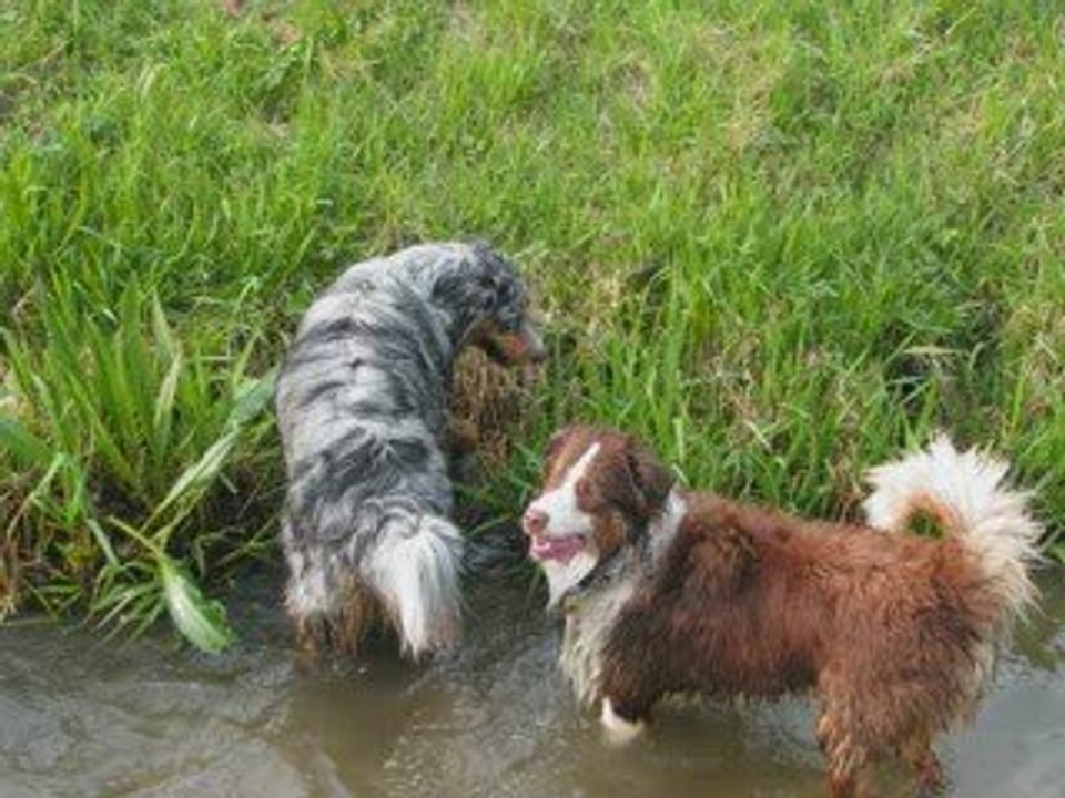 Danger & Cowboy ; Les potes en Action