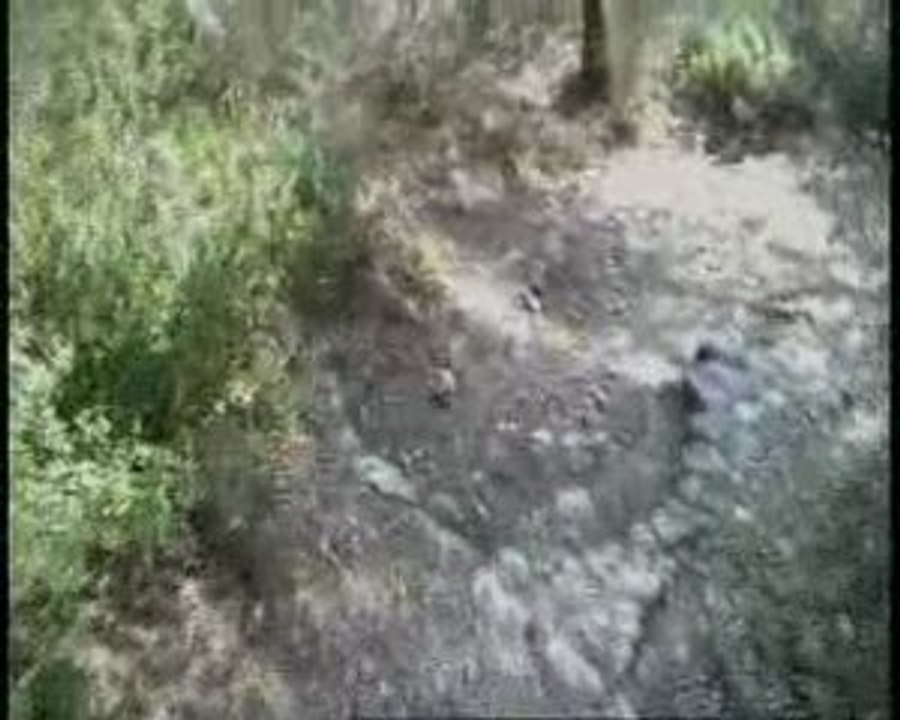 Cucuron VTT