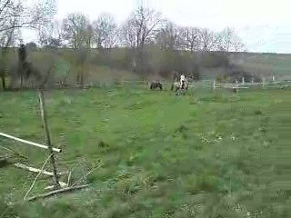 nopal et moi en saut