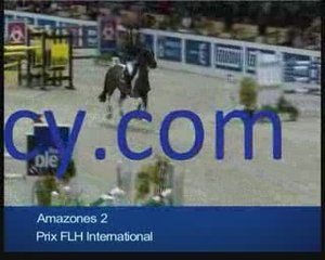 Blue horse agency achat vente location de chevaux