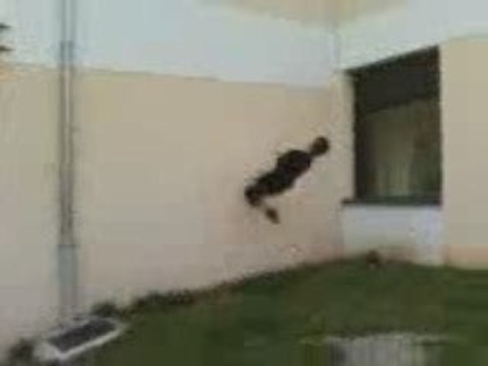 salto sur mur