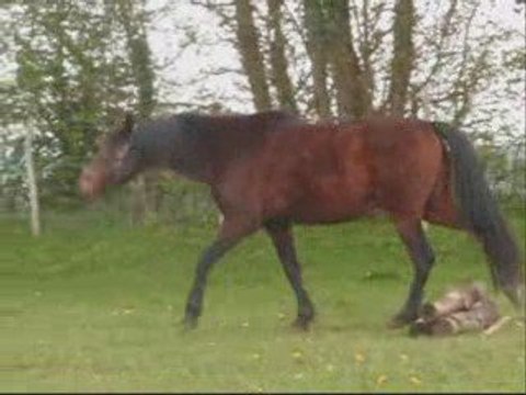 la cense degré deux l'immobilité