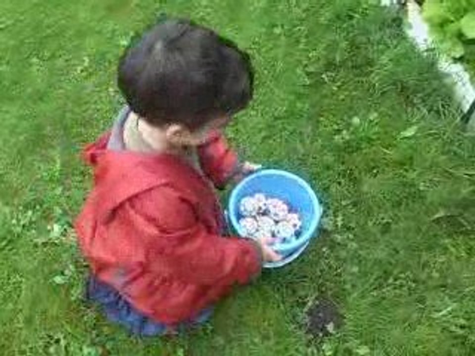 La chasse aux oeufs de David suite