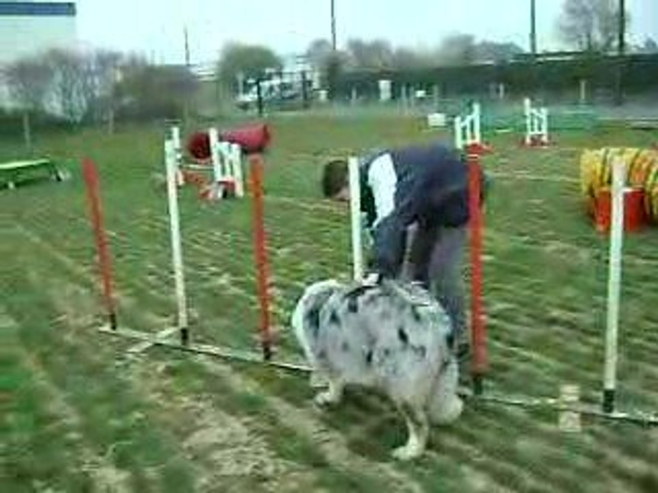 Diamond agility
