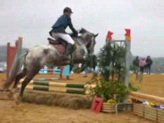 Poney 2 avec une luciole super regardante pas de com méchant