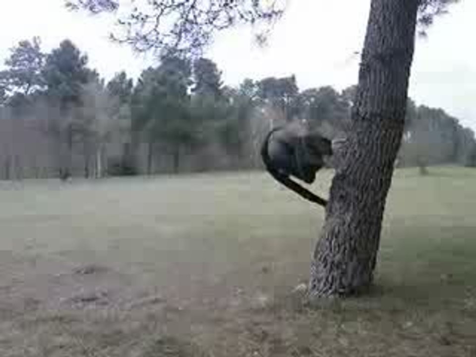Wall spin