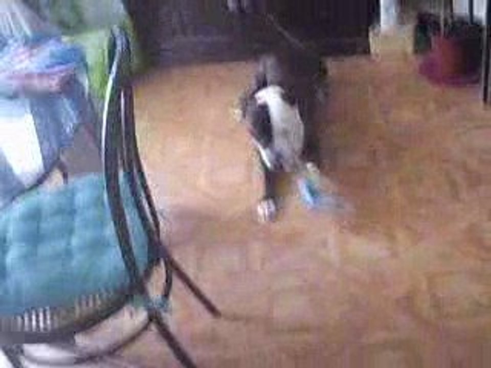 Athéna et sa bouteille...