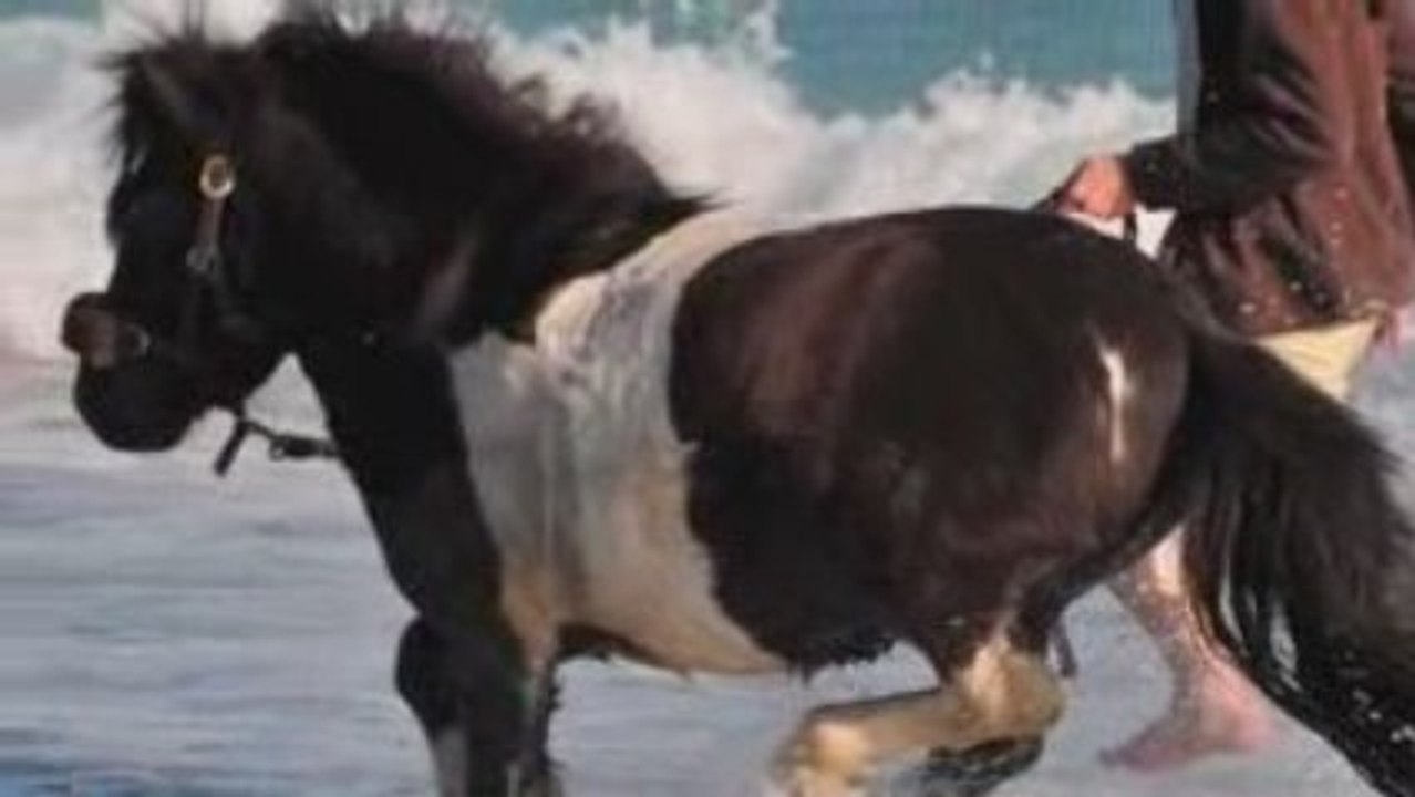 Superbe aprem avec le Poy