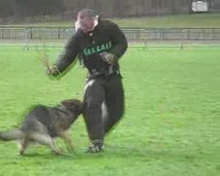 Gr1 1er sélectif Rogeville 2009 Ulko fuyante