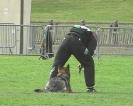 Gr1 1er sélectif Rogeville 2009 Ulko garde au ferme