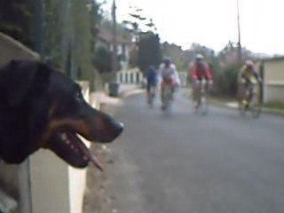 course cycliste 2009 LA 77 Sud dernière partie