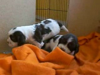 Elsa joue avec la couette