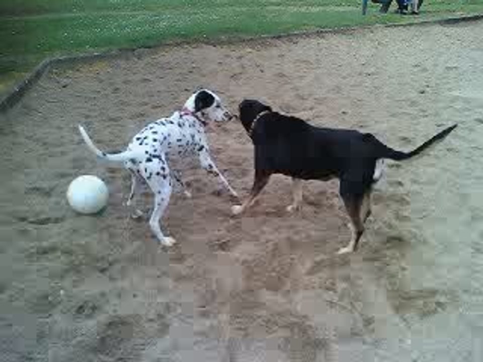 Aller prend le baton