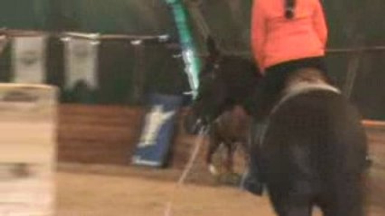 a cheval avec elena