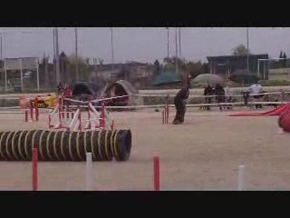 Alès Baxter Jumping