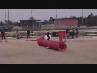 Alès Chinook Jumping