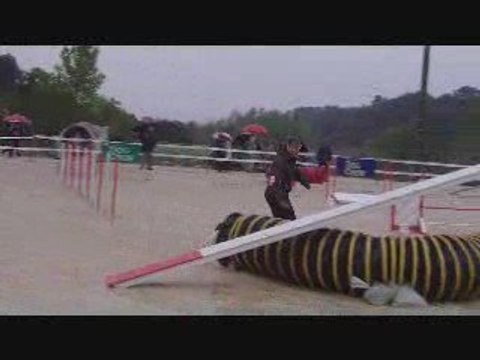 Alès Chinook 1er degré