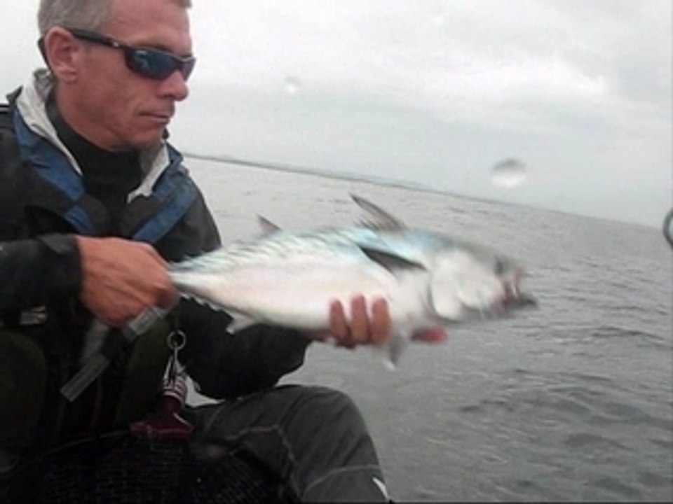 Catching mack tuna from a kayak