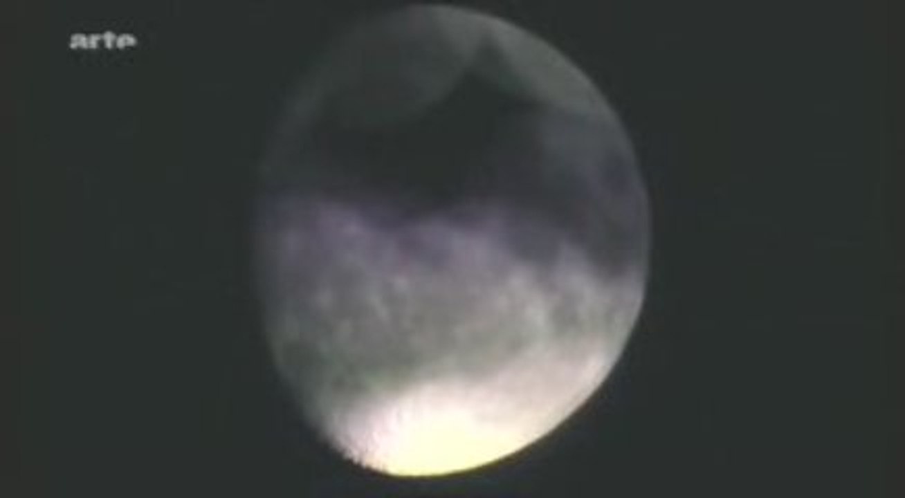 Arcade Fire en concert  - Haiti