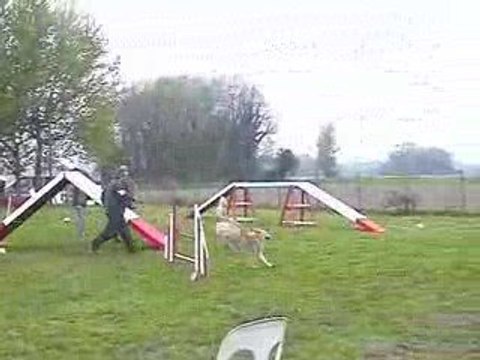 Salsa GPF Agility Voreppe 12/04/2009