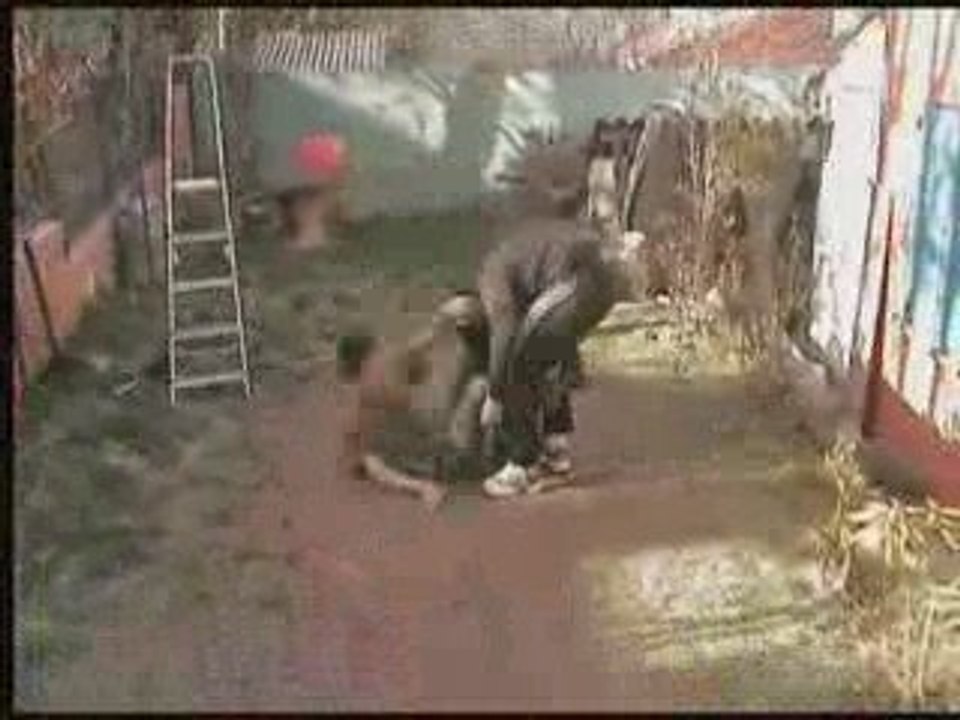 EDWf prises enchainement catch amateur