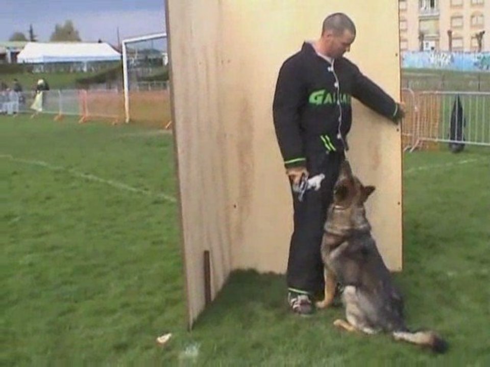 Ulko selectifs ring 2009 groupe 1 Jury B Samedi