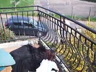 Melusine des bottes et des chaussures II le retour