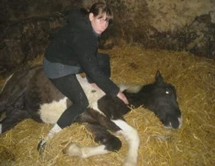 sun amusement et photos en vrac