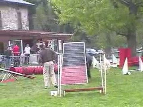 Salsa Degré Agility Voreppe 12/04/2009