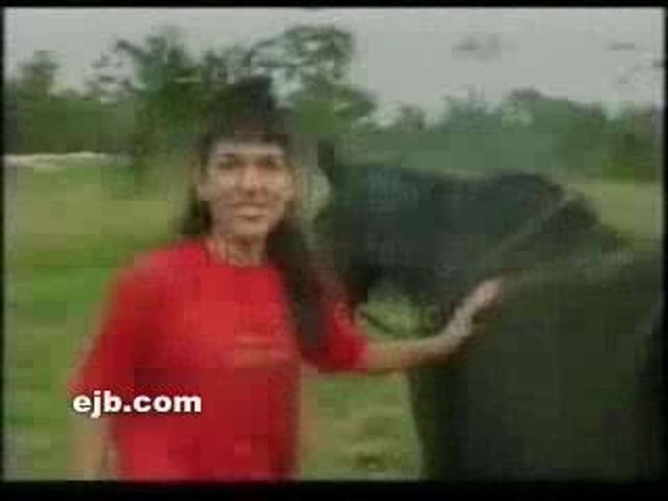 paser en desou un cheval c pa a faire