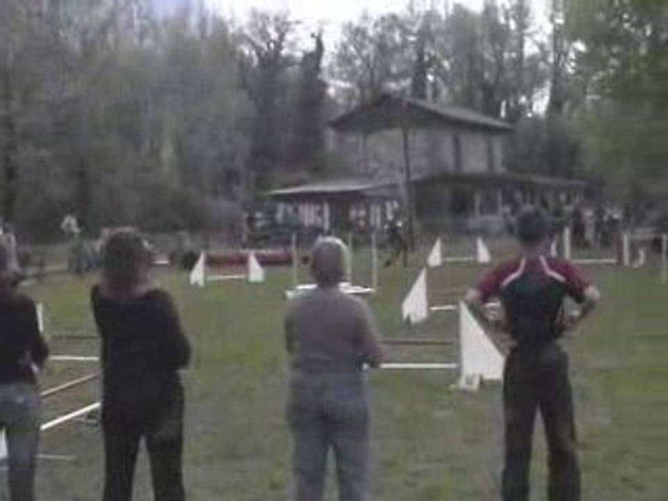 Blueberry Jumping Agility Voreppe 12/04/2009