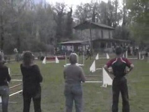 Blueberry Jumping Agility Voreppe 12/04/2009