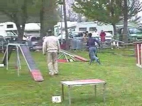 Aston Open Agility Voreppe 12/04/2009