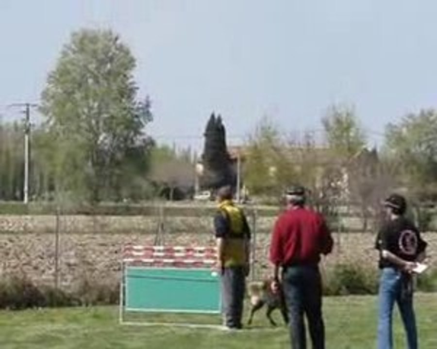 Saut de haie 1m par Alex