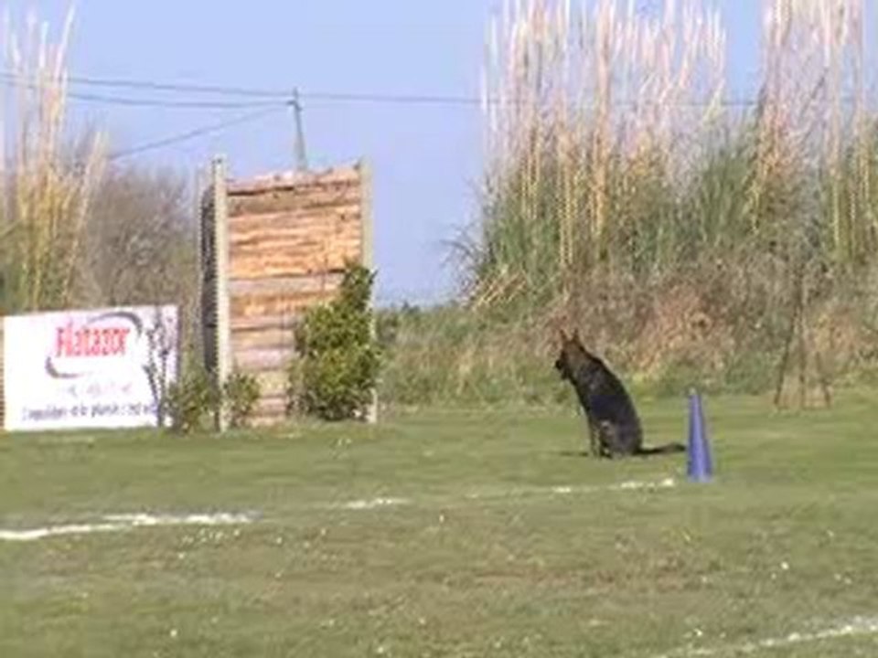 A'panzer de l'Erkadyl