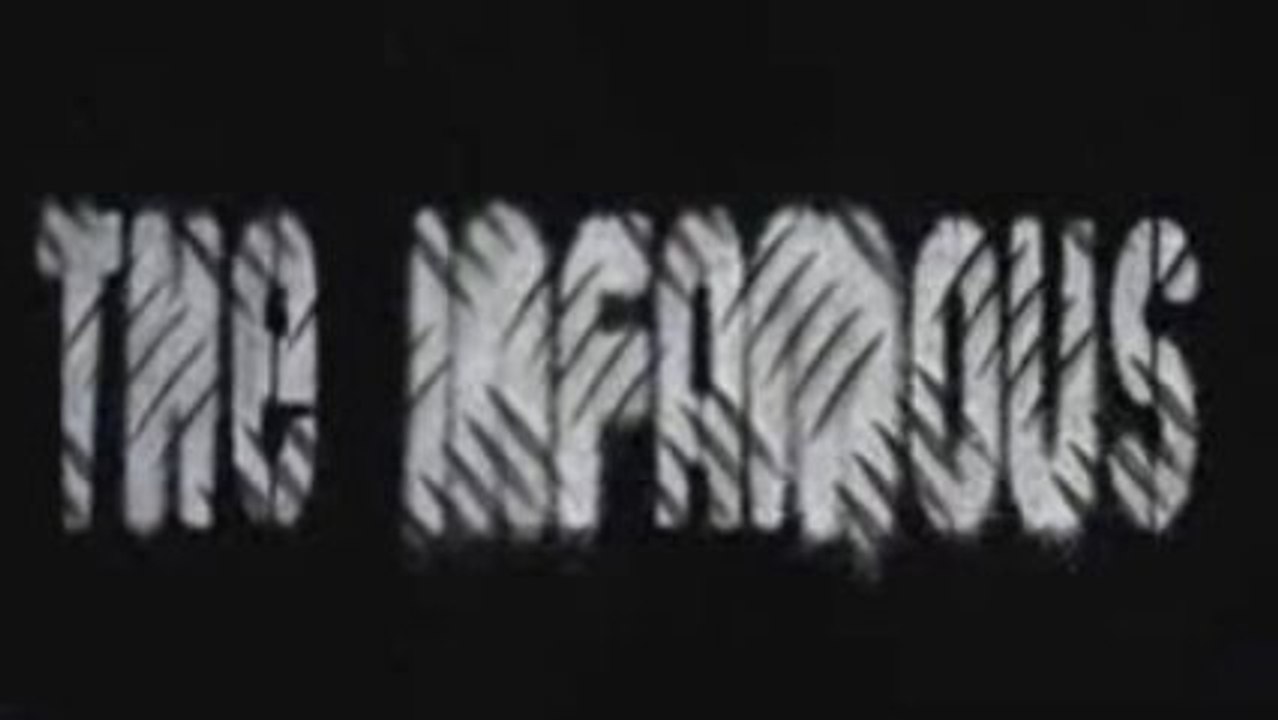 Nuisance Sonore - The INFAMOUS