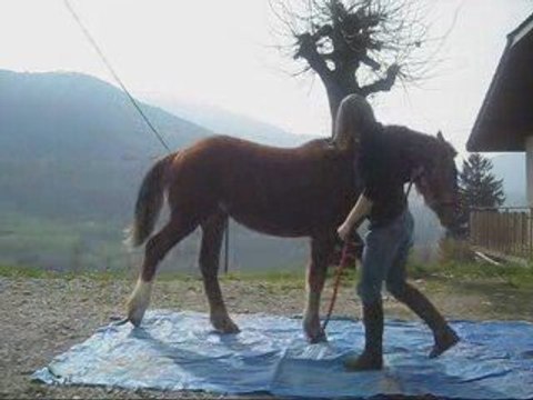 Séance de saut en longe_0001