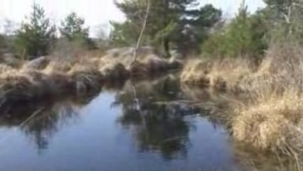 Barbizon - Désert d'Apremont