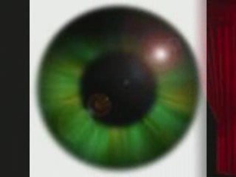 PoesiePirat - Vertonung  Der Panther von Rainer Maria Rilke