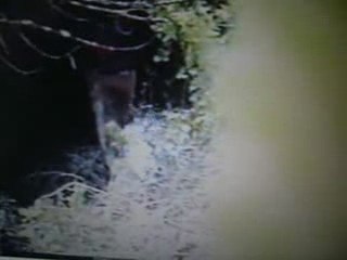 Actividades Realizadas na A.M.A.O. 📝