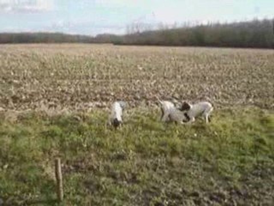 Montage claude jaafar