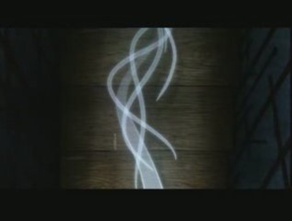 BRENDAN ET LE SECRET DE KELLS EXTRAIT 02 VF