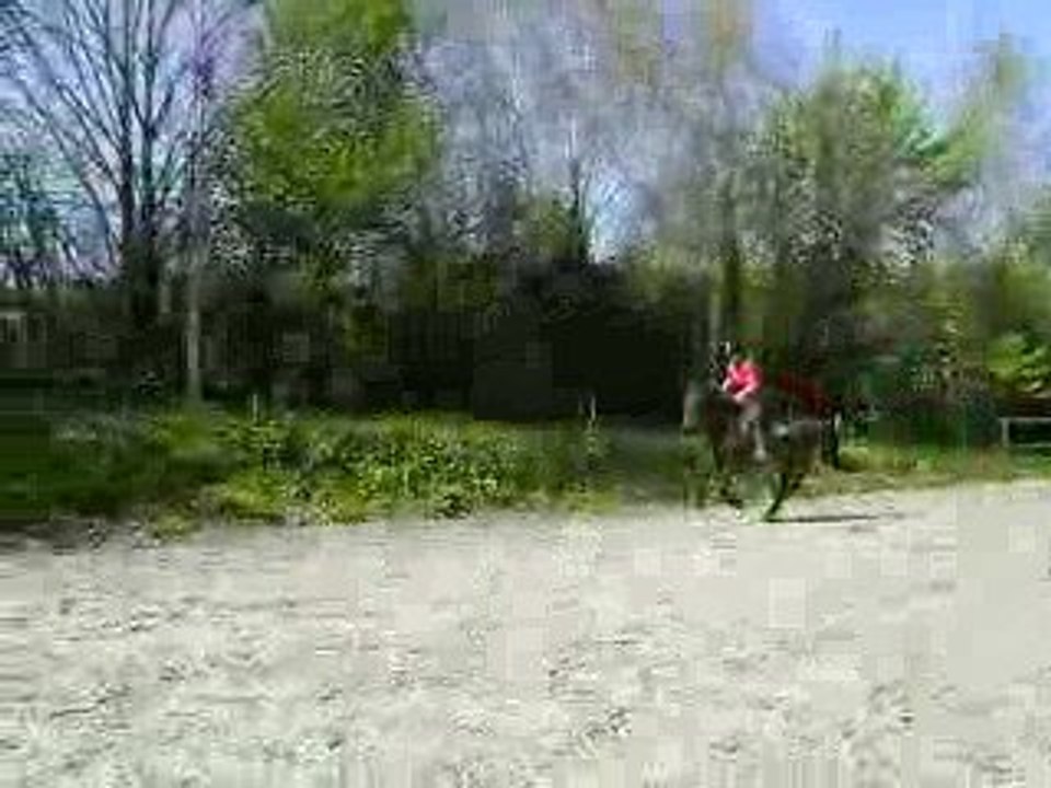 MOV02504