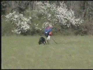 Daika pistage 12 mois