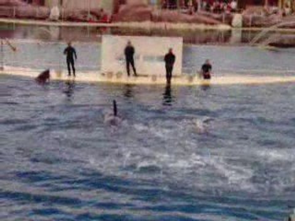 Marineland