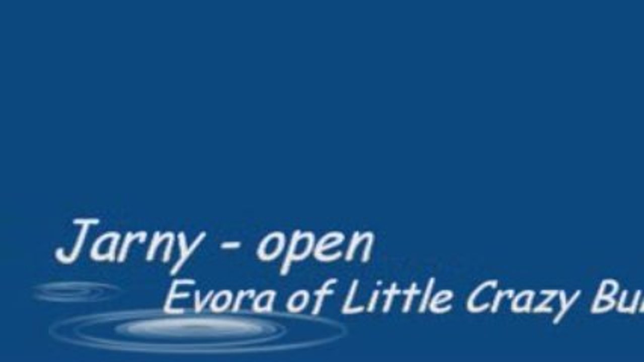20090412 Jarny Open