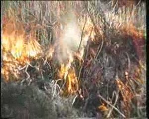 1989-01-28 Favières travaux de voie