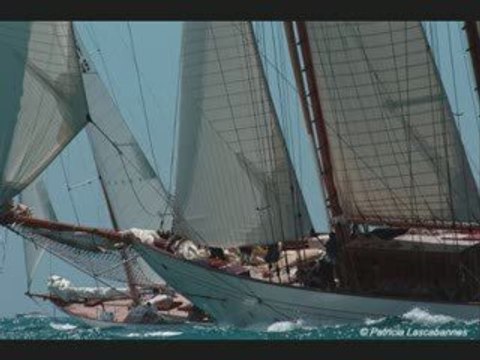 Les voiles d'Antibes