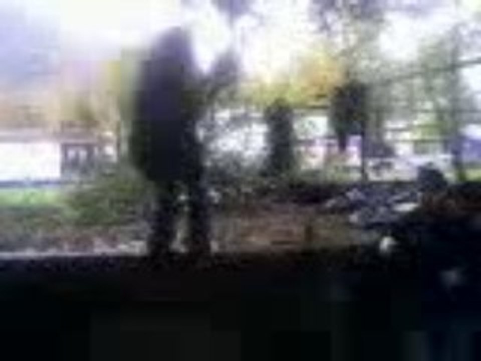 back