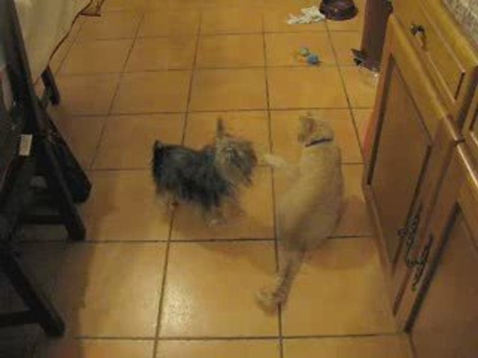 Cixi&Robert